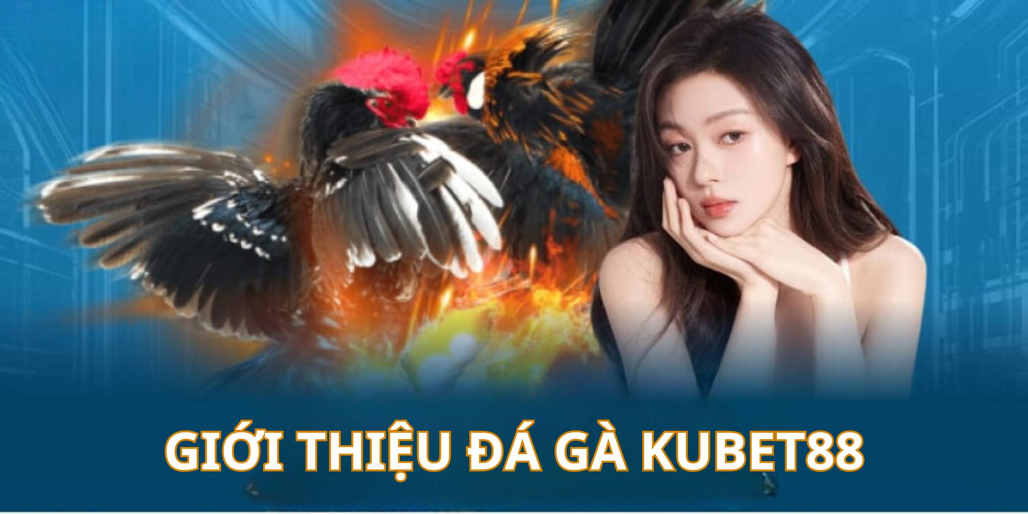 Tìm hiểu sân chơi đá gà Kubet88