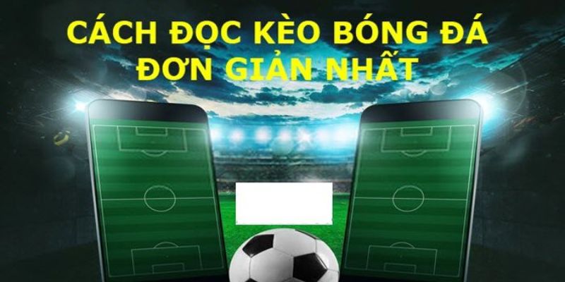 Hướng dẫn đọc kèo bóng đá Châu Á chính xác cho các tân thủ