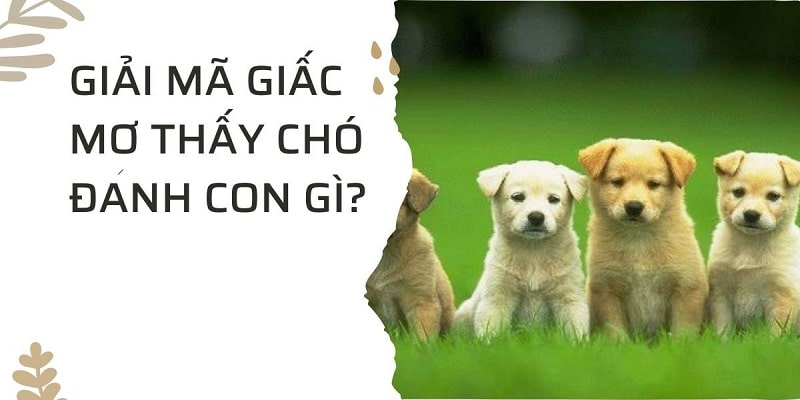 Giải mã giấc chiêm bao để tìm những con số đem đến tài lộc